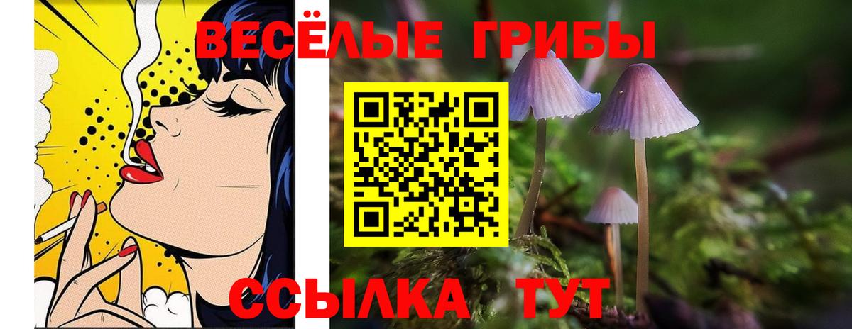 Псилоцибиновые грибы мухоморы Донецк